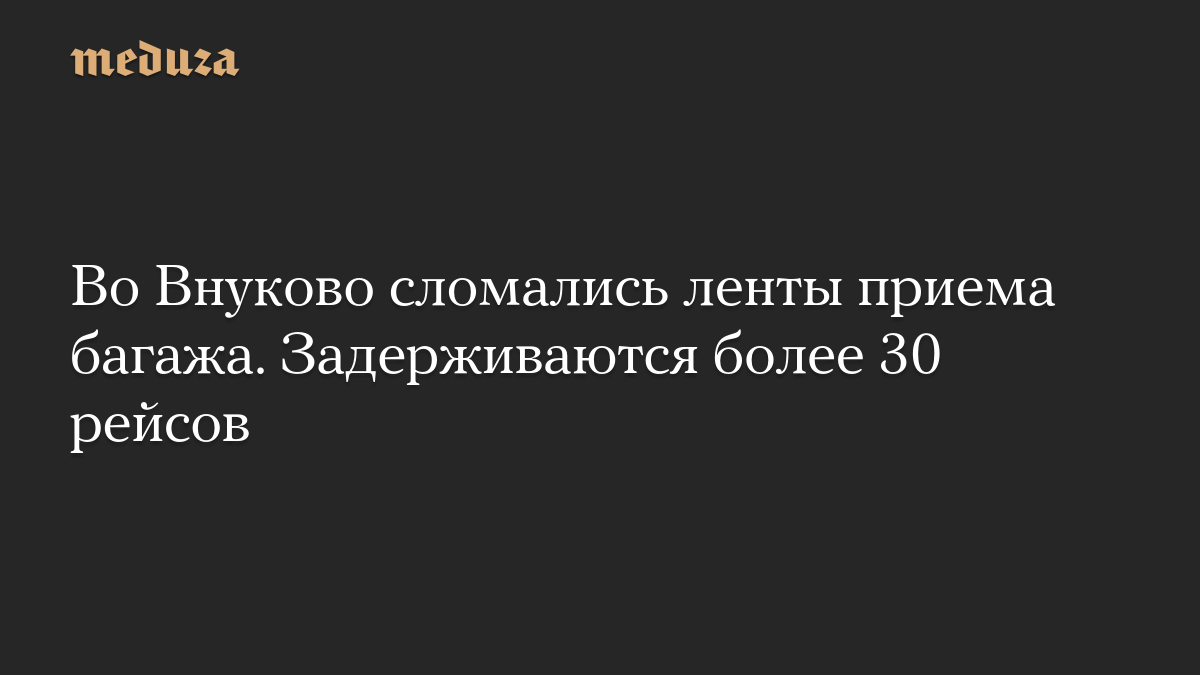 Во Внуково сломались ленты приема багажа. Задерживаются более 30 рейсов