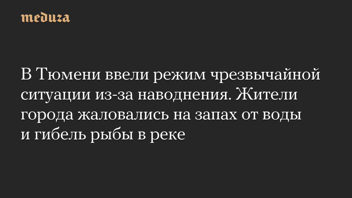 В Тюмени ввели режим чрезвычайной ситуации из-за наводнения. Жители города жаловались на запах от воды и гибель рыбы в реке