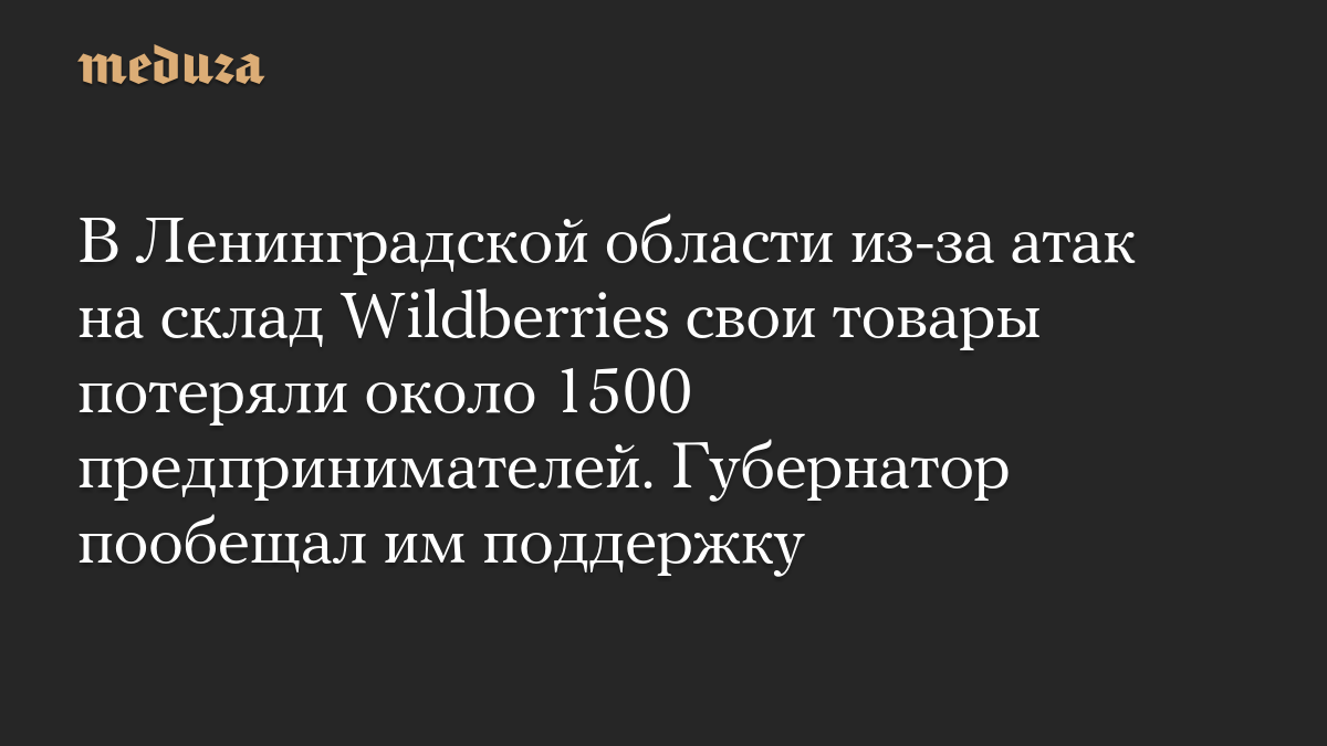 В Ленинградской области из-за атак на склад Wildberries свои товары потеряли около 1500 предпринимателей. Губернатор пообещал им поддержку