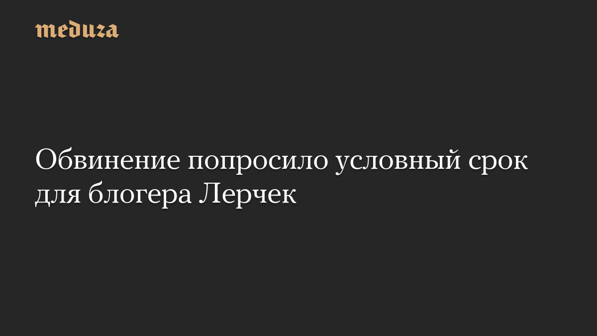 Обвинение попросило условный срок для блогера Лерчек