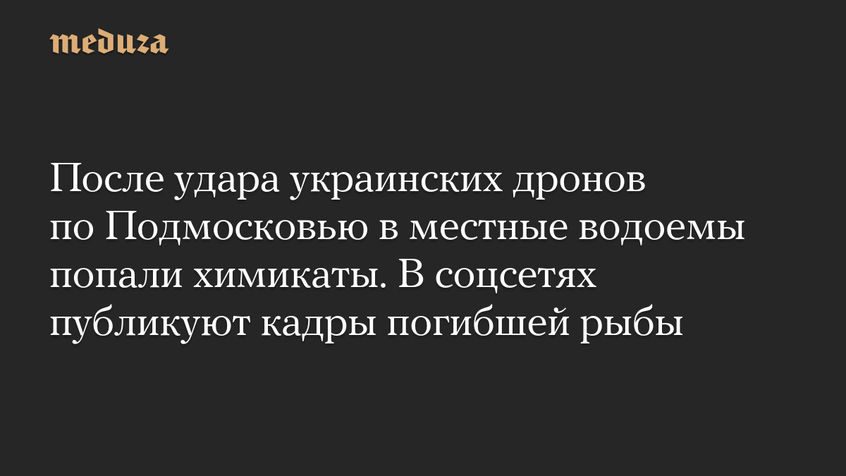 После удара украинских дронов по Подмосковью в местные водоемы попали химикаты. В соцсетях публикуют кадры погибшей рыбы