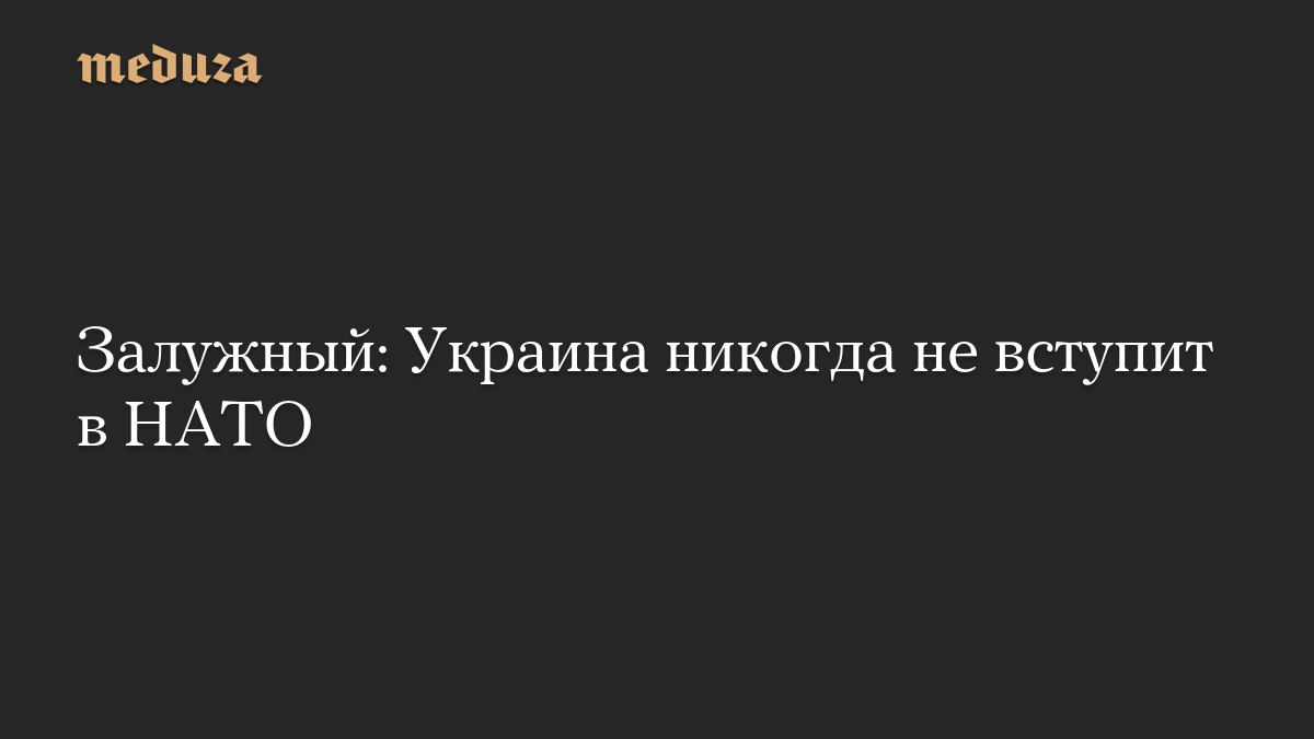 Залужный: Украина никогда не вступит в НАТО
