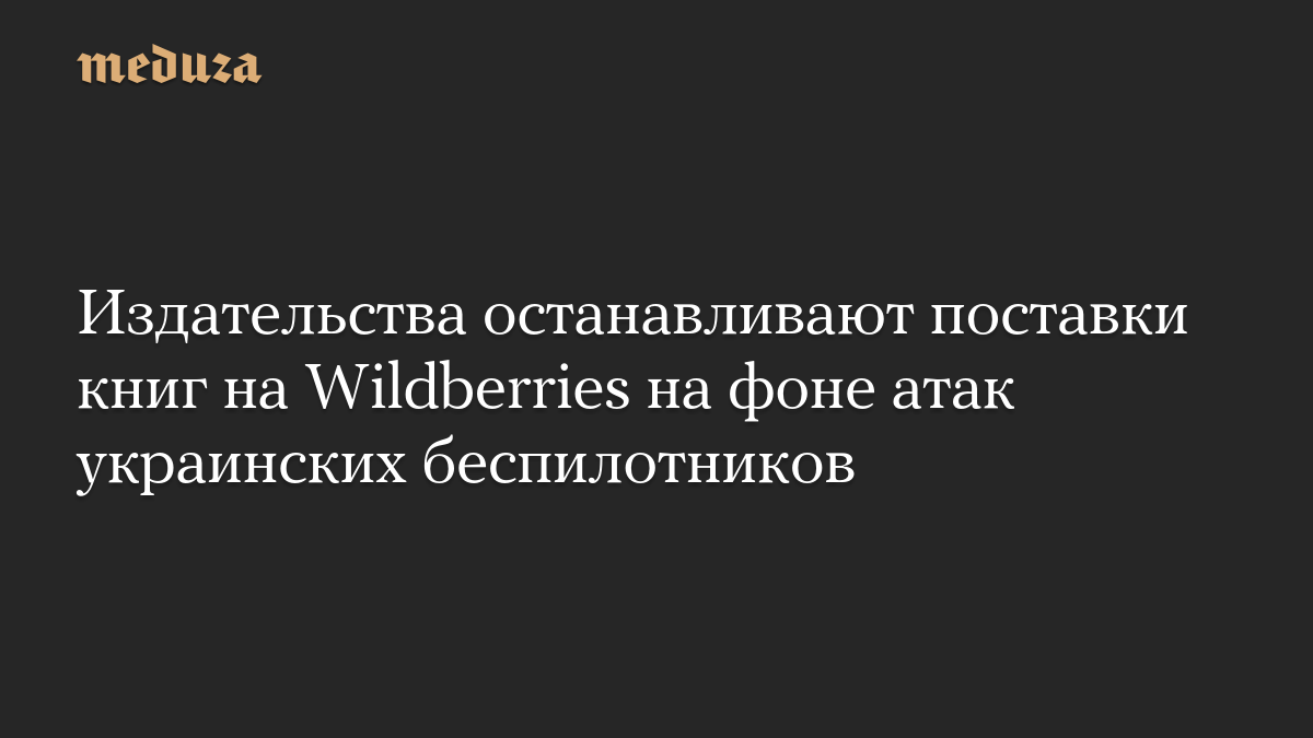 Издательства останавливают поставки книг на Wildberries на фоне атак украинских беспилотников