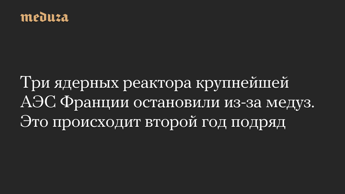 Три ядерных реактора крупнейшей АЭС Франции остановили из-за медуз. Это происходит второй год подряд