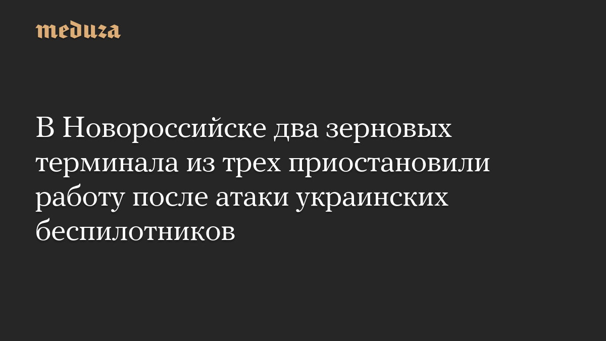 В Новороссийске два зерновых терминала из трех приостановили работу после атаки украинских беспилотников