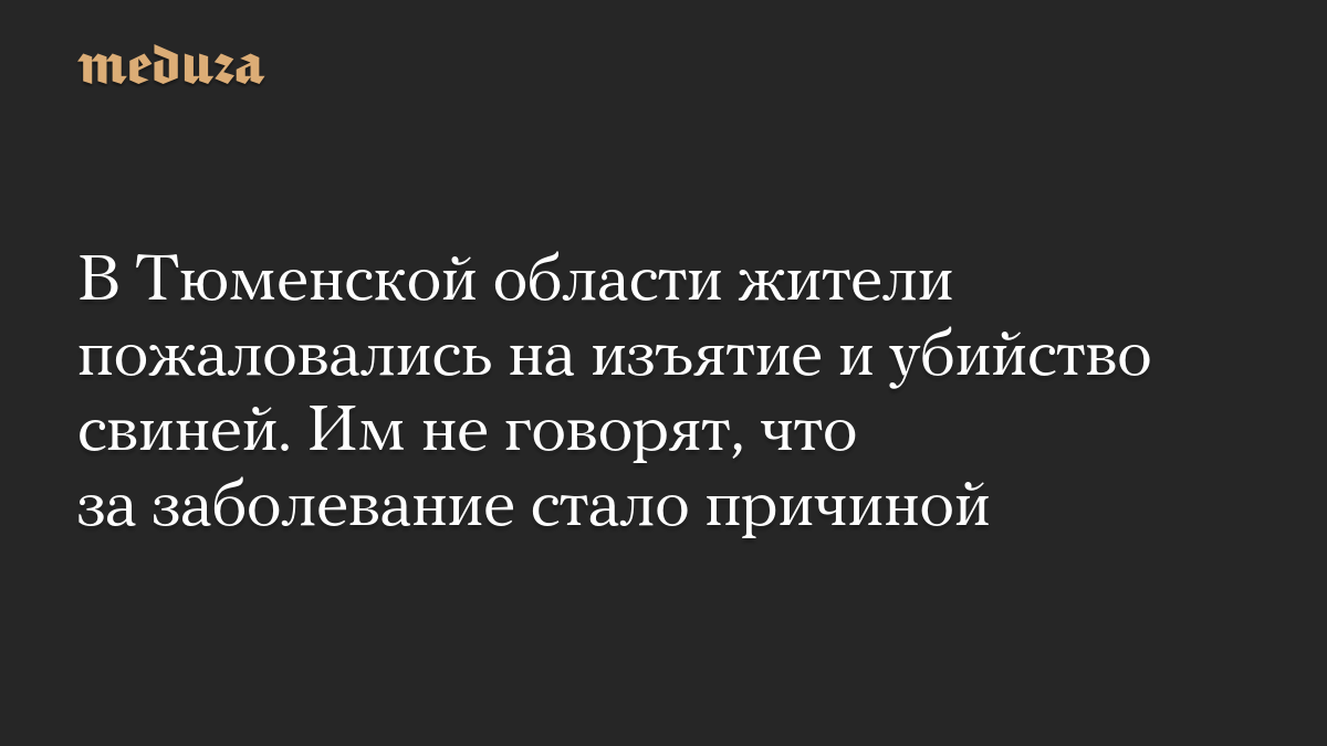 В Тюменской области жители пожаловались на изъятие и убийство свиней. Им не говорят, что за заболевание стало причиной