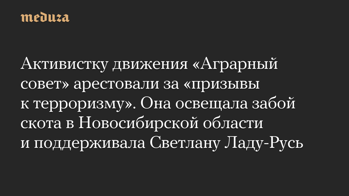 Активистку движения «Аграрный совет» арестовали за «призывы к терроризму». Она освещала забой скота в Новосибирской области и поддерживала Светлану Ладу-Русь