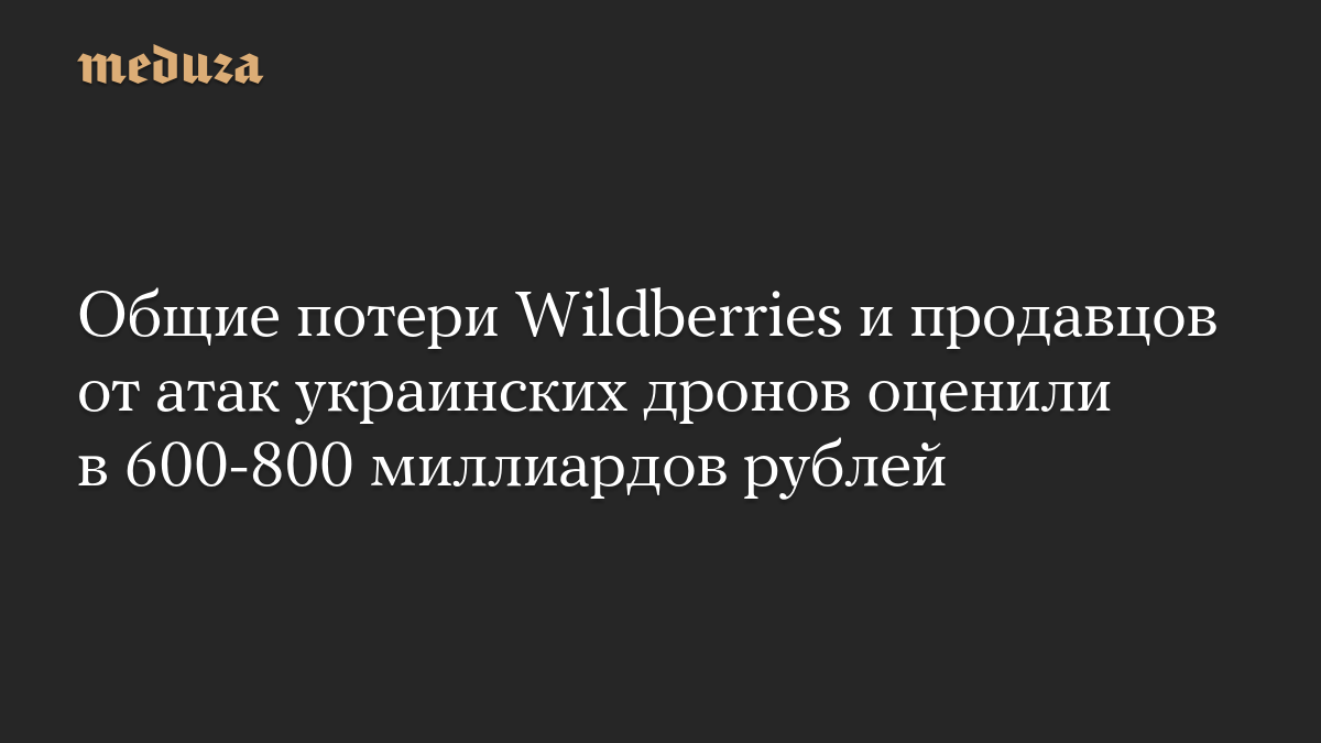 Общие потери Wildberries и продавцов от атак украинских дронов оценили в 600-800 миллиардов рублей