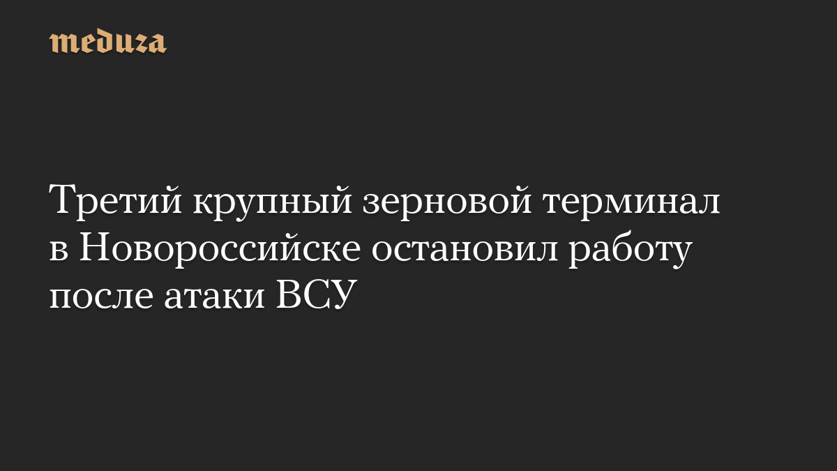 Третий крупный зерновой терминал в Новороссийске остановил работу после атаки ВСУ