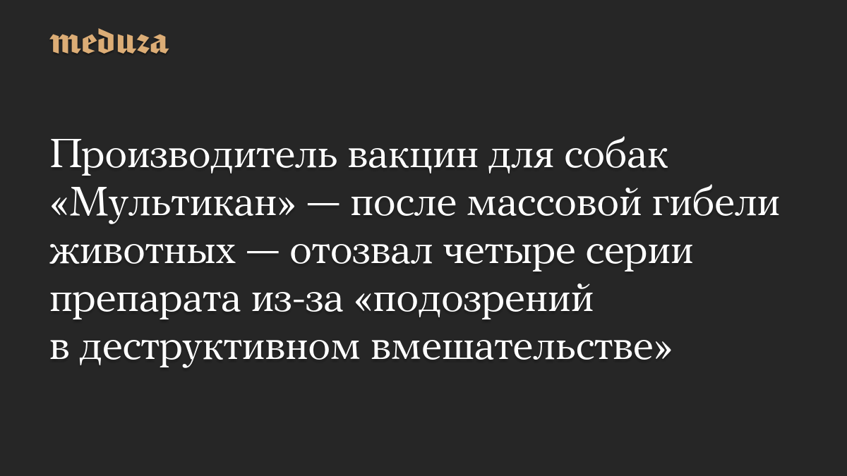 Производитель вакцин для собак «Мультикан» — после массовой гибели животных — отозвал четыре серии препарата из-за «подозрений в деструктивном вмешательстве»
