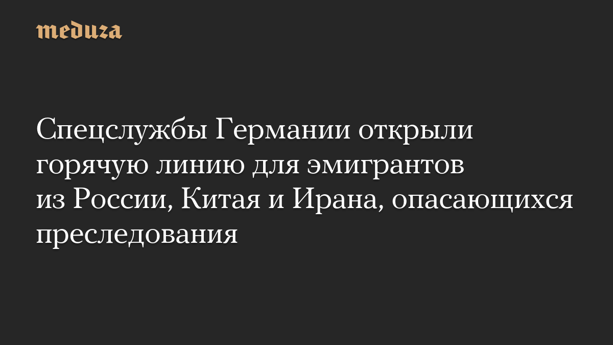 Спецслужбы Германии открыли горячую линию для эмигрантов из России, Китая и Ирана, опасающихся преследования