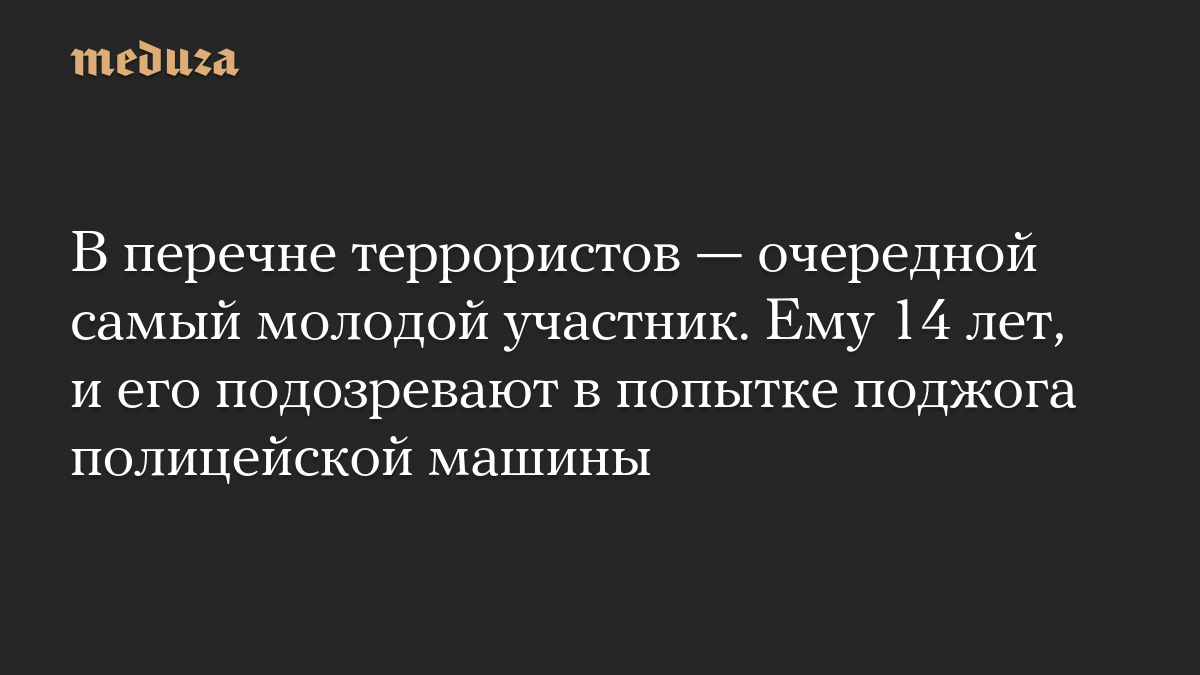 В перечне террористов — очередной самый молодой участник. Ему 14 лет, и его подозревают в попытке поджога полицейской машины