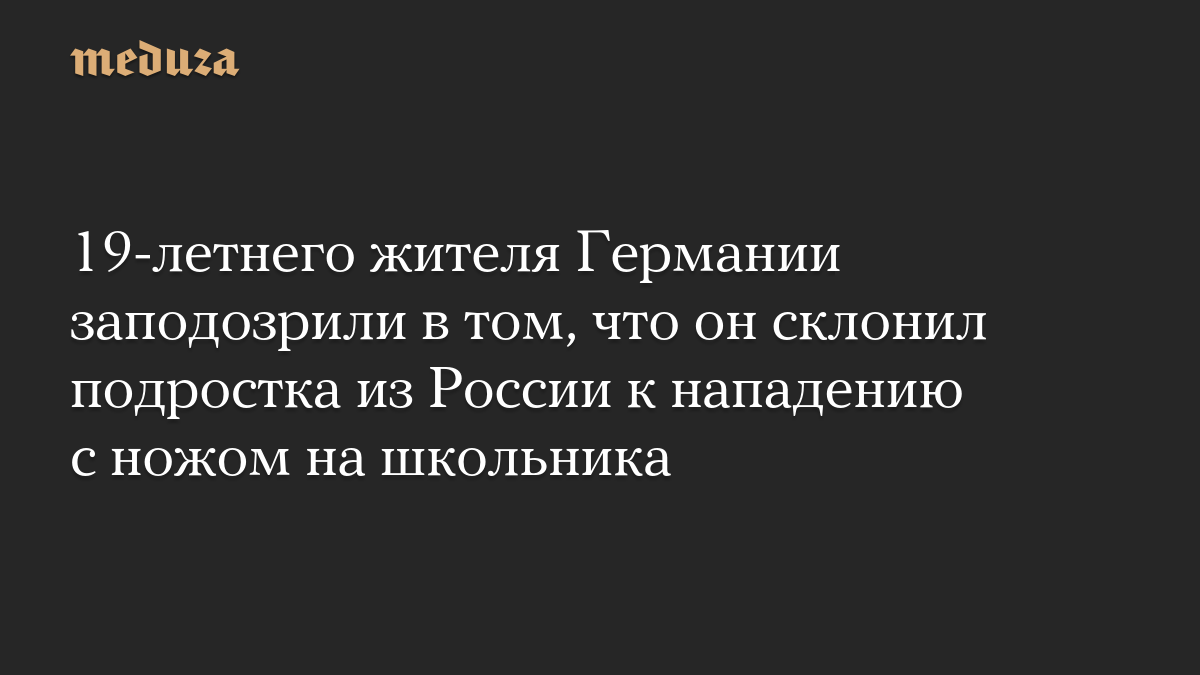 19-летнего жителя Германии заподозрили в том, что он склонил подростка из России к нападению с ножом на школьника