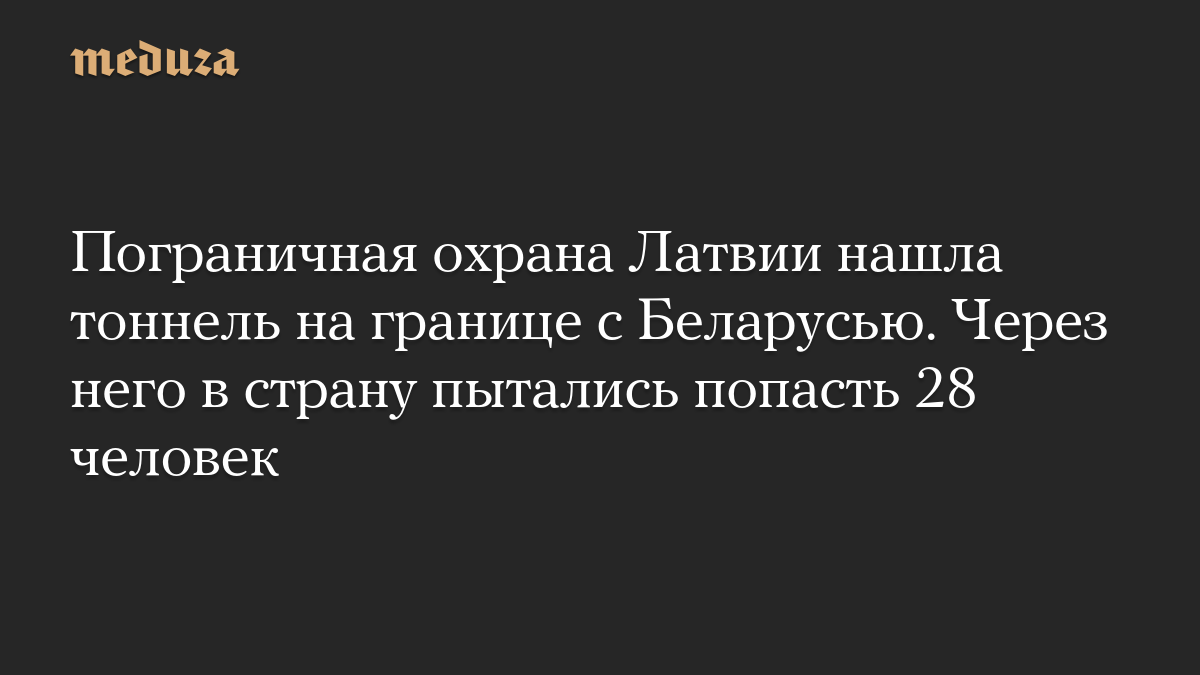 Пограничная охрана Латвии нашла тоннель на границе с Беларусью. Через него в страну пытались попасть 28 человек