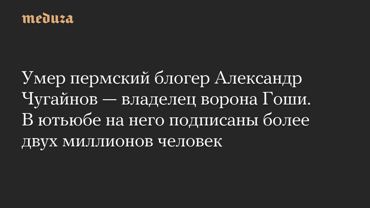 Умер пермский блогер Александр Чугайнов — владелец ворона Гоши. В ютьюбе на него подписаны более двух миллионов человек