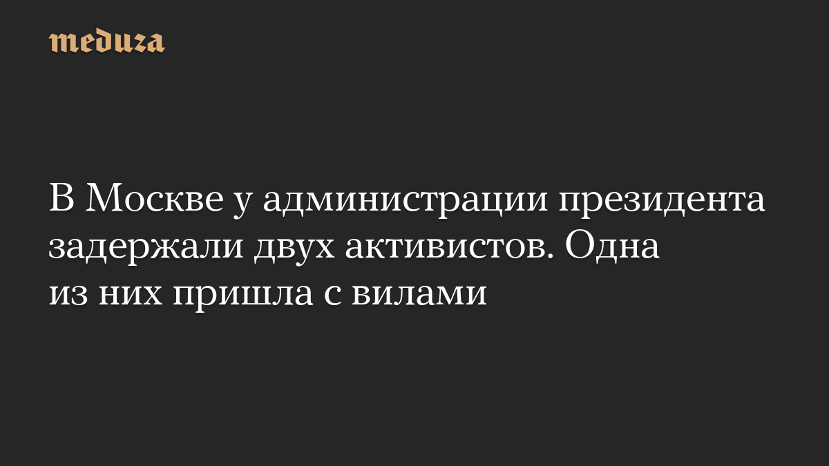В Москве у администрации президента задержали двух активистов. Одна из них пришла с вилами