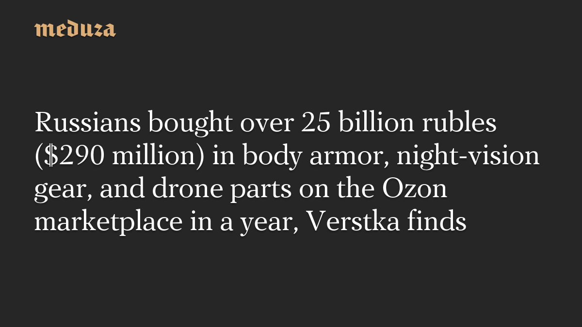 ロシア人、1年間にOzonで250億ルーブル超の軍事関連品を購入　Verstka調査