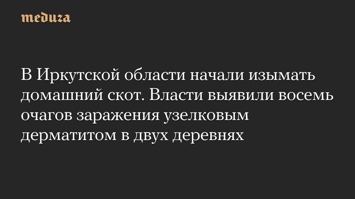 В Иркутской области начали изымать домашний скот. Власти выявили восемь очагов заражения узелковым дерматитом в двух деревнях