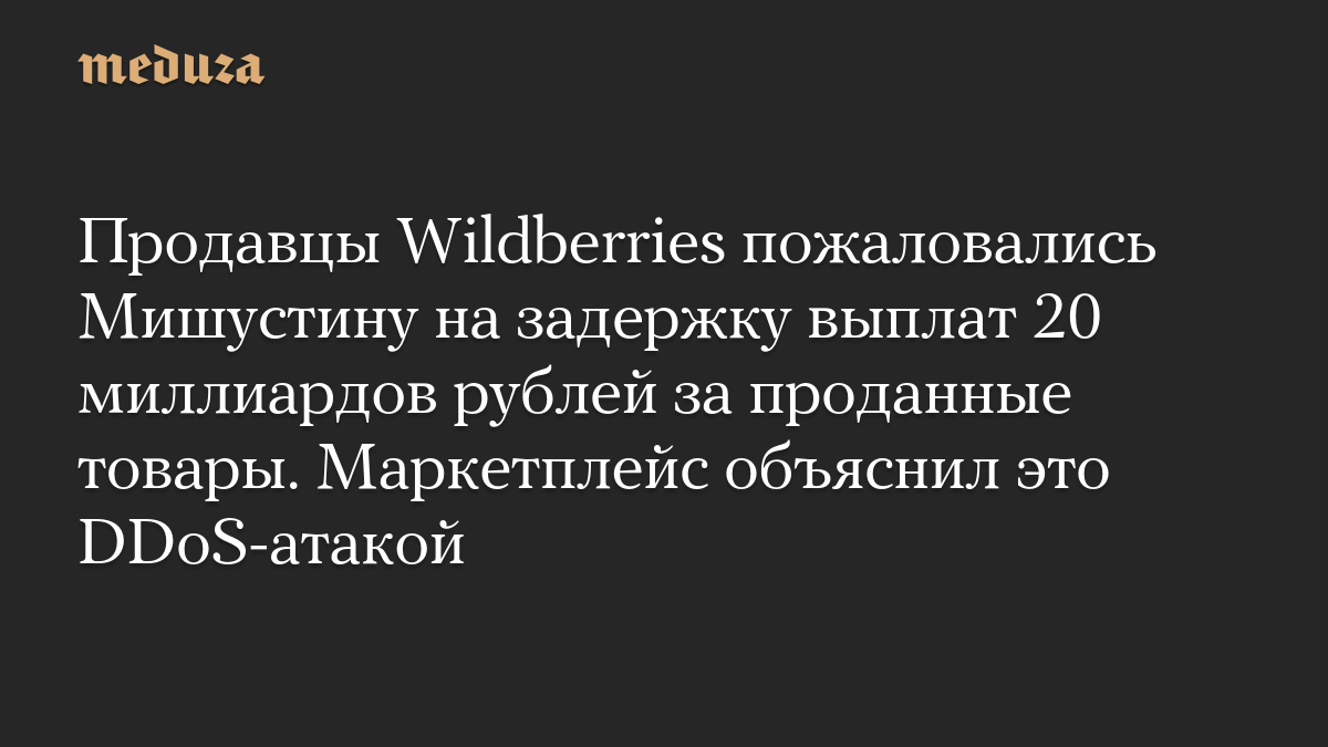 Продавцы Wildberries пожаловались Мишустину на задержку выплат 20 миллиардов рублей за проданные товары. Маркетплейс объяснил это DDoS-атакой