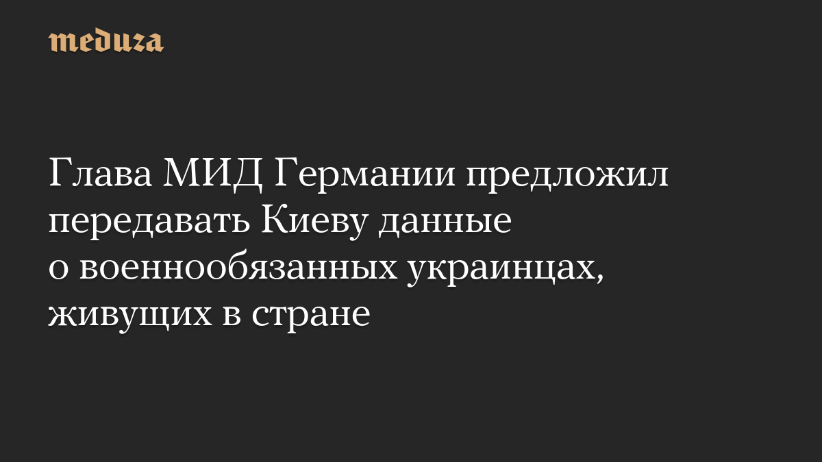 Глава МИД Германии предложил передавать Киеву данные о военнообязанных украинцах, живущих в стране