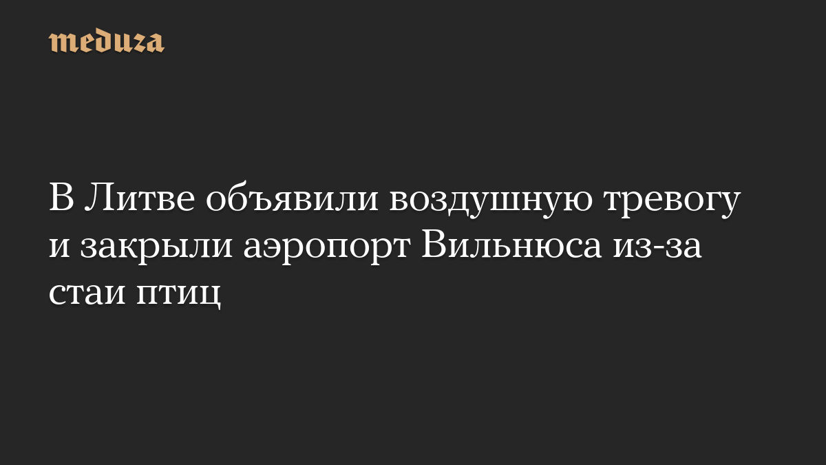 В Литве объявили воздушную тревогу и закрыли аэропорт Вильнюса из-за стаи птиц