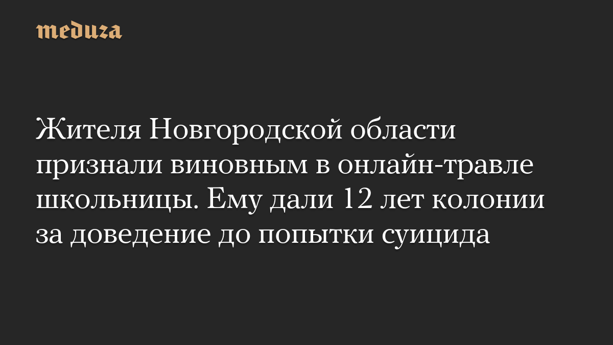 Жителя Новгородской области признали виновным в онлайн-травле школьницы. Ему дали 12 лет колонии за доведение до попытки суицида