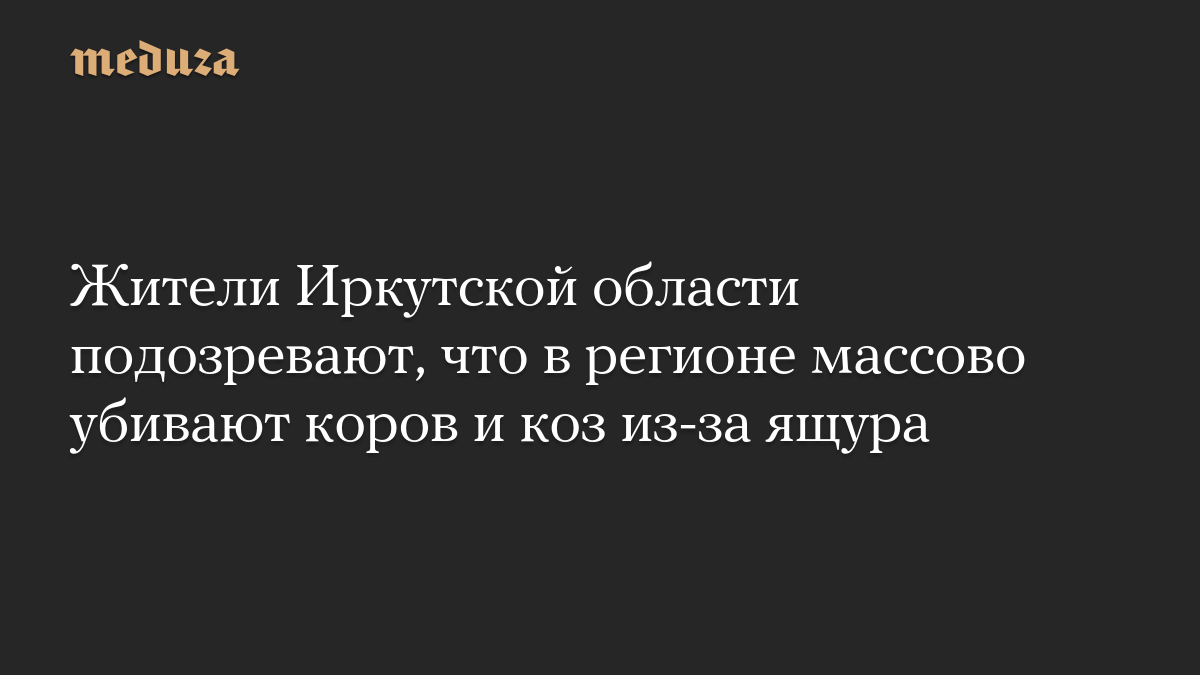 Жители Иркутской области подозревают, что в регионе массово убивают коров и коз из-за ящура