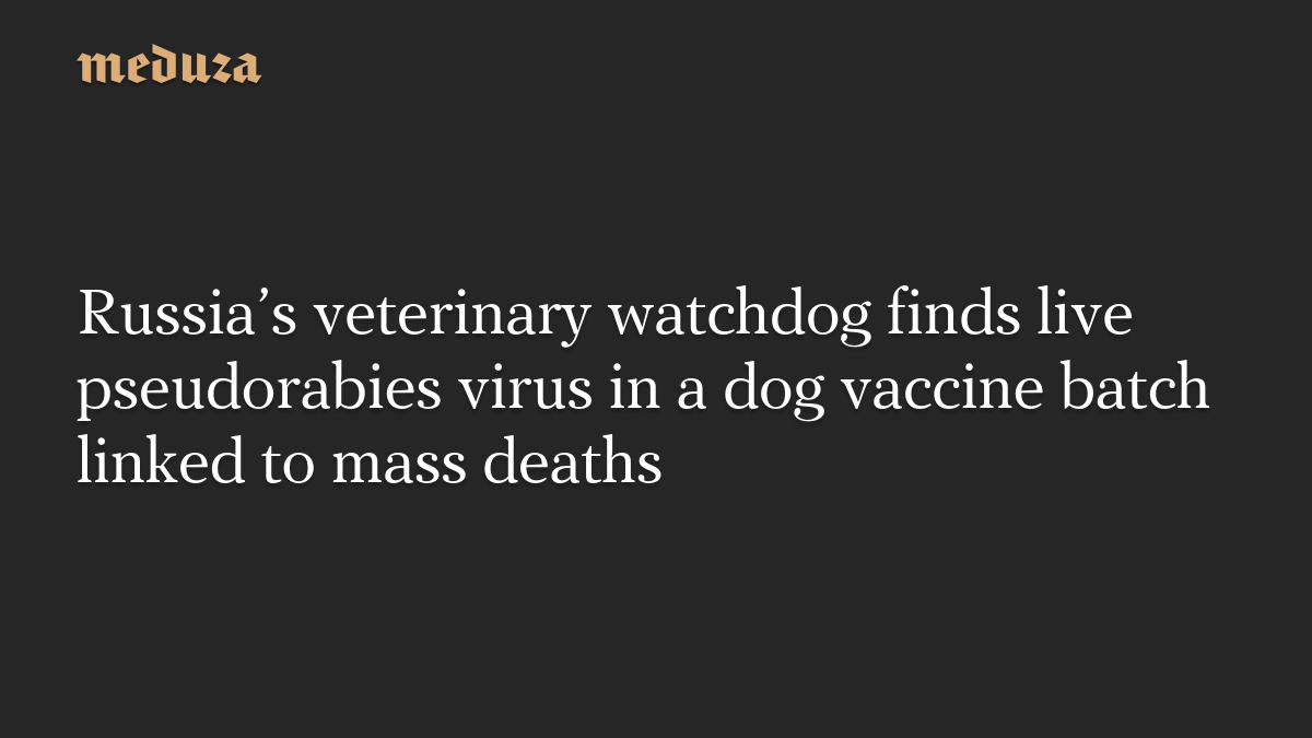 Russia's veterinary watchdog finds live pseudorabies virus in a dog vaccine batch linked to mass deaths