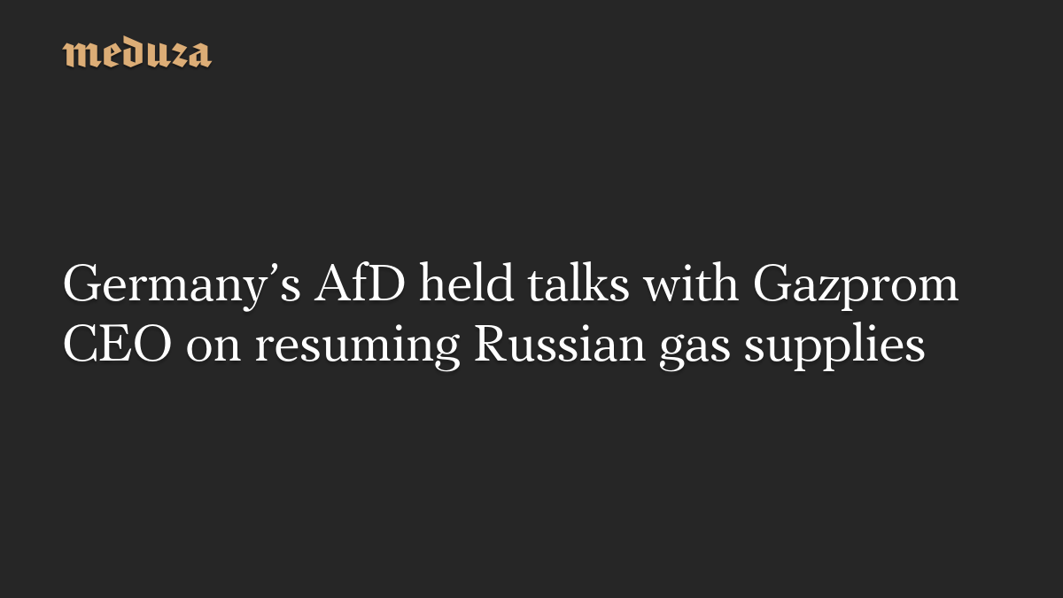 AfD í Þýskalandi ræddi við forstjóra Gazprom um endurupptöku gasflutninga