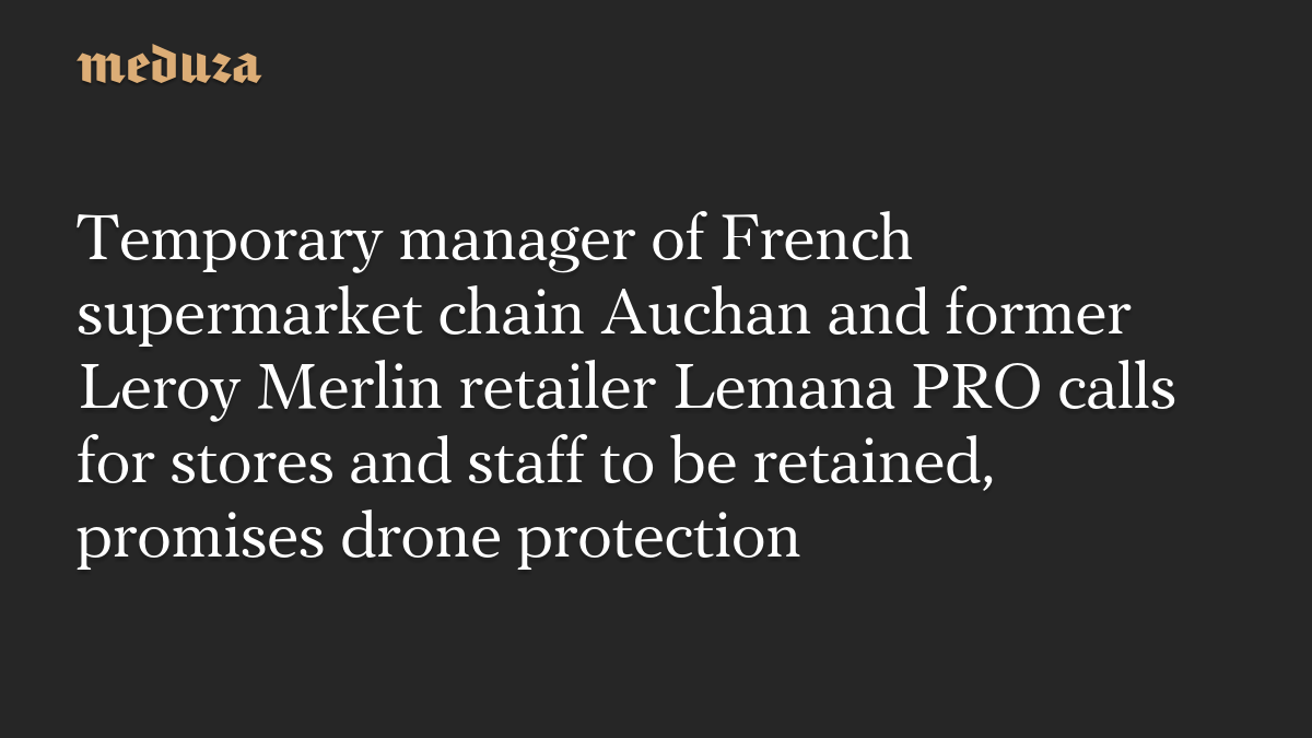 Temporary manager of French supermarket chain Auchan and former Leroy Merlin retailer Lemana PRO calls for stores and staff to be retained, promises drone protection