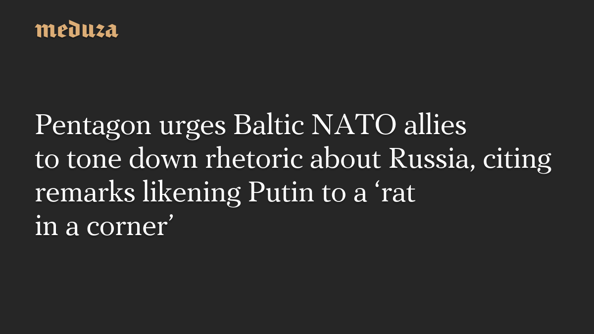 Pentagon urges Baltic NATO allies to tone down rhetoric about Russia, citing remarks likening Putin to a ‘rat in a corner’