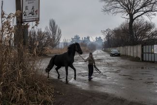 Olesya Gadarina with her horse Syoma. Mariupol, December 5, 2018. Behind them is the Azovstal plant. Due to the tense situation in the Sea of Azov, turnover at the port of Mariupol had greatly decreased, so the plant was experiencing great difficulties selling its products.