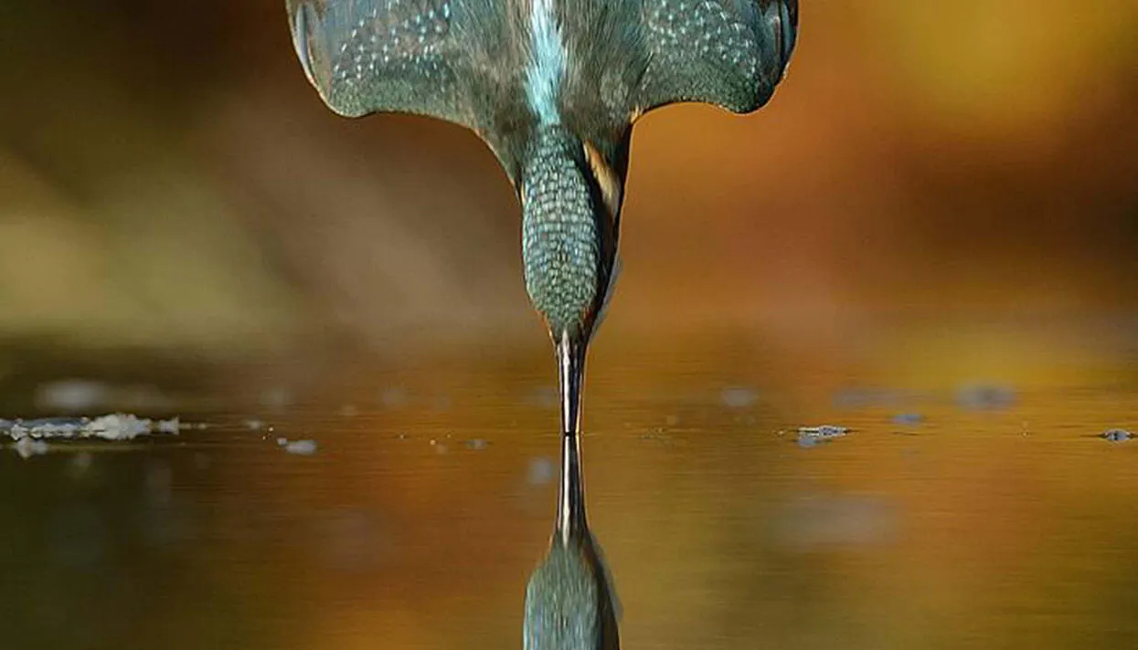 Фото: Mercury Press / Caters News Agency / Scanpix