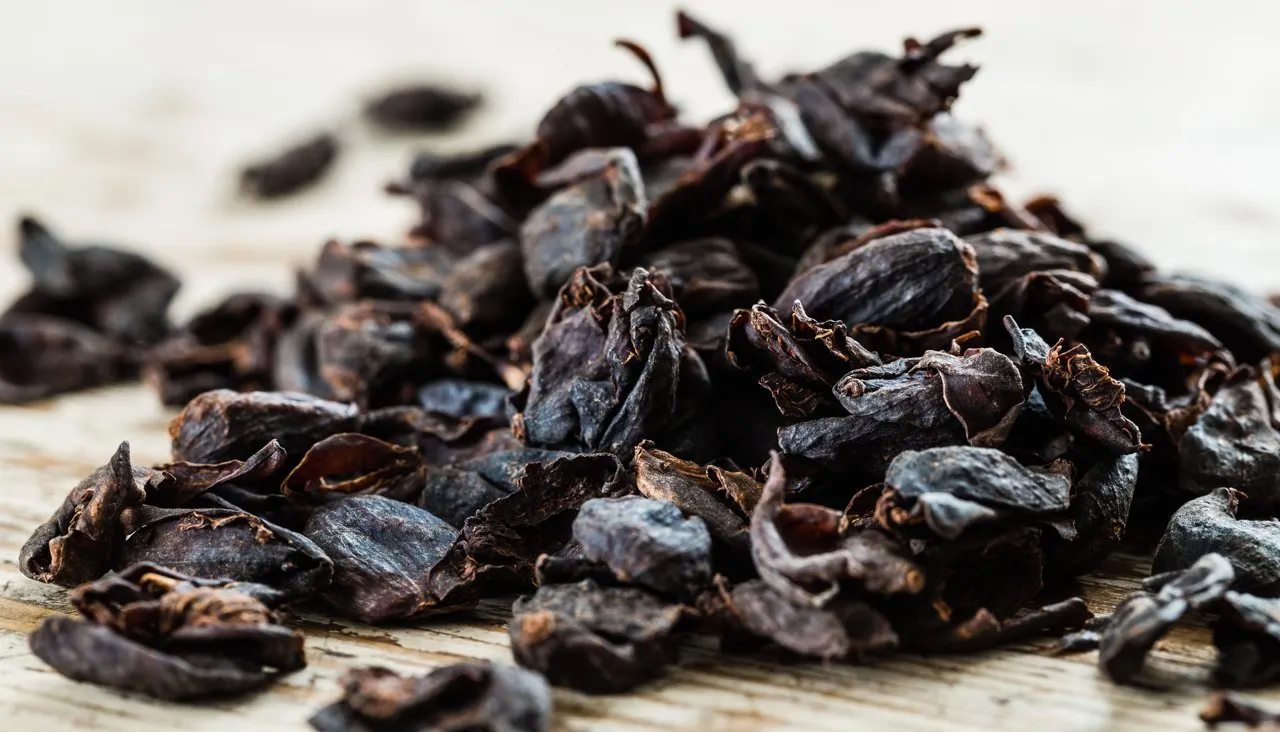 Jan Faukner / Shutterstock.com