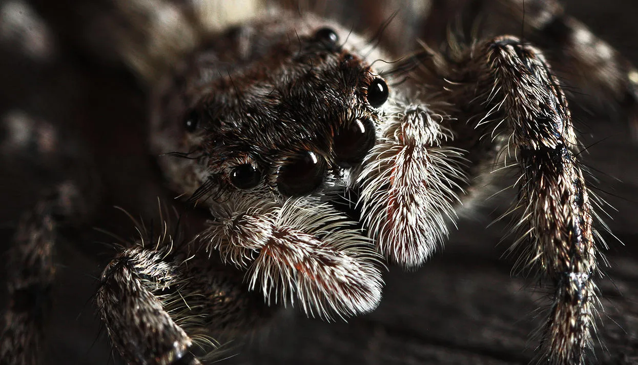 Фото: Dann Thombs / Flickr (CC BY-NC-ND 2.0)