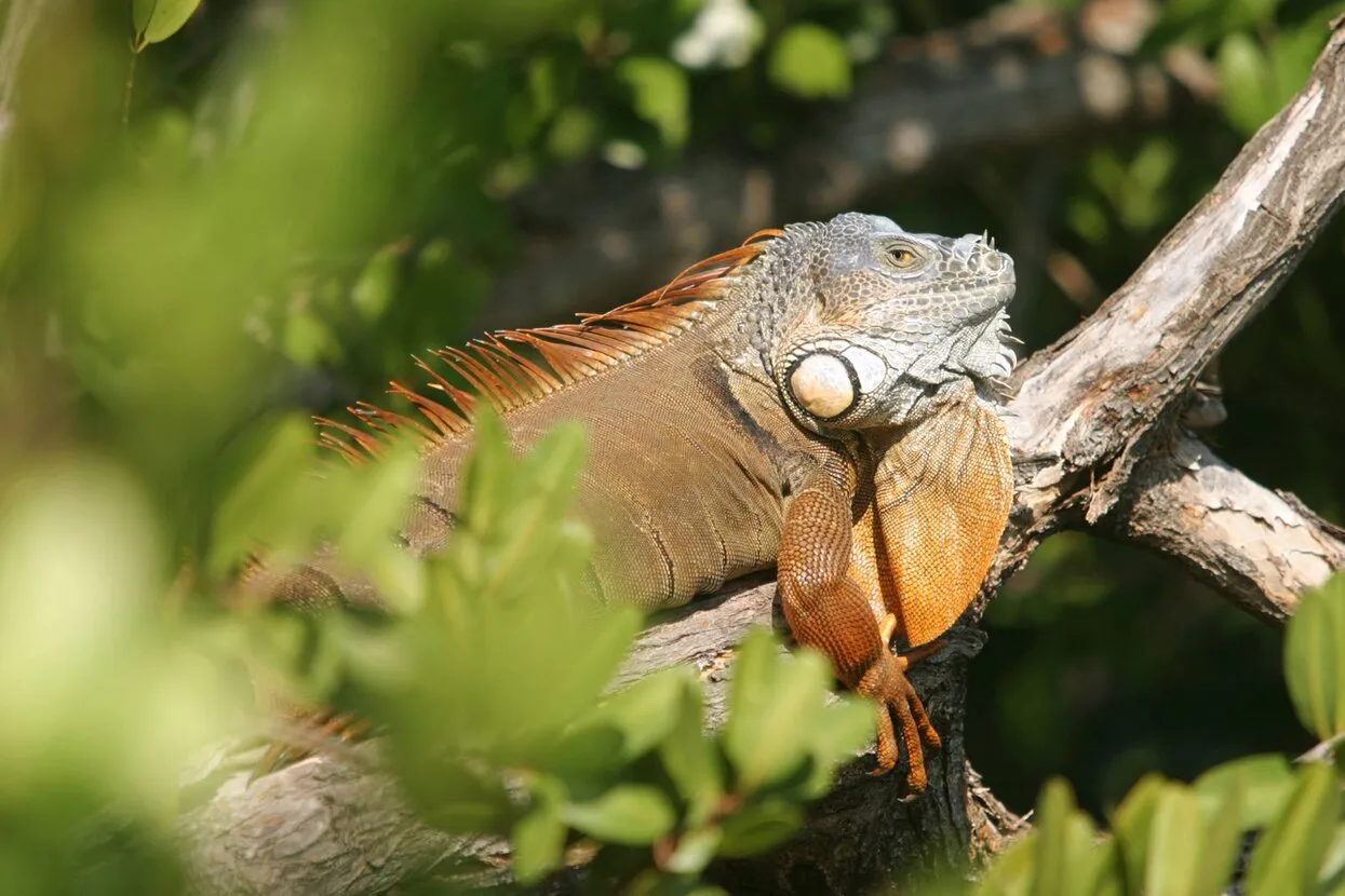 Imago / Scanpix / LETA