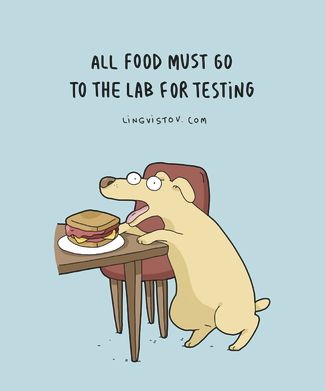 «Вся еда должна пройти тестирование в лаборатории»
