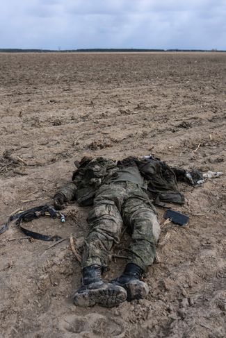 Убитый российский солдат на кукурузном поле в селе Ситняки, Киевская область.