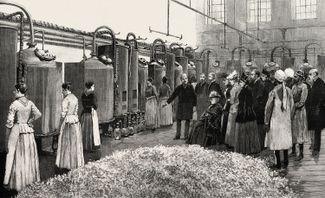 Королеве Виктории объясняют процесс дистилляции духов. Грас, 1891 год