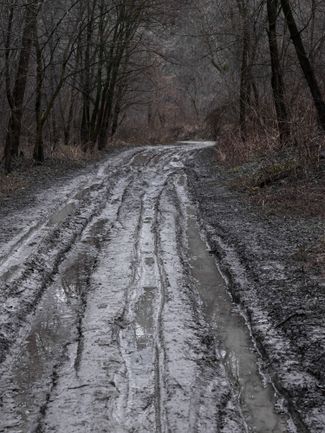 Кирилловский Гай. Киев, январь2022 года