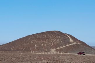 37-метровый геоглиф (нанесенный на землю узор) с изображением кота на склоне холма в Перу. Эксперты предполагают, что рисунок сделали примерно в 500–100-х годах до нашей эры, что делает эту кошку одним из древнейших обнаруженных геоглифов. 9 октября 2020 года