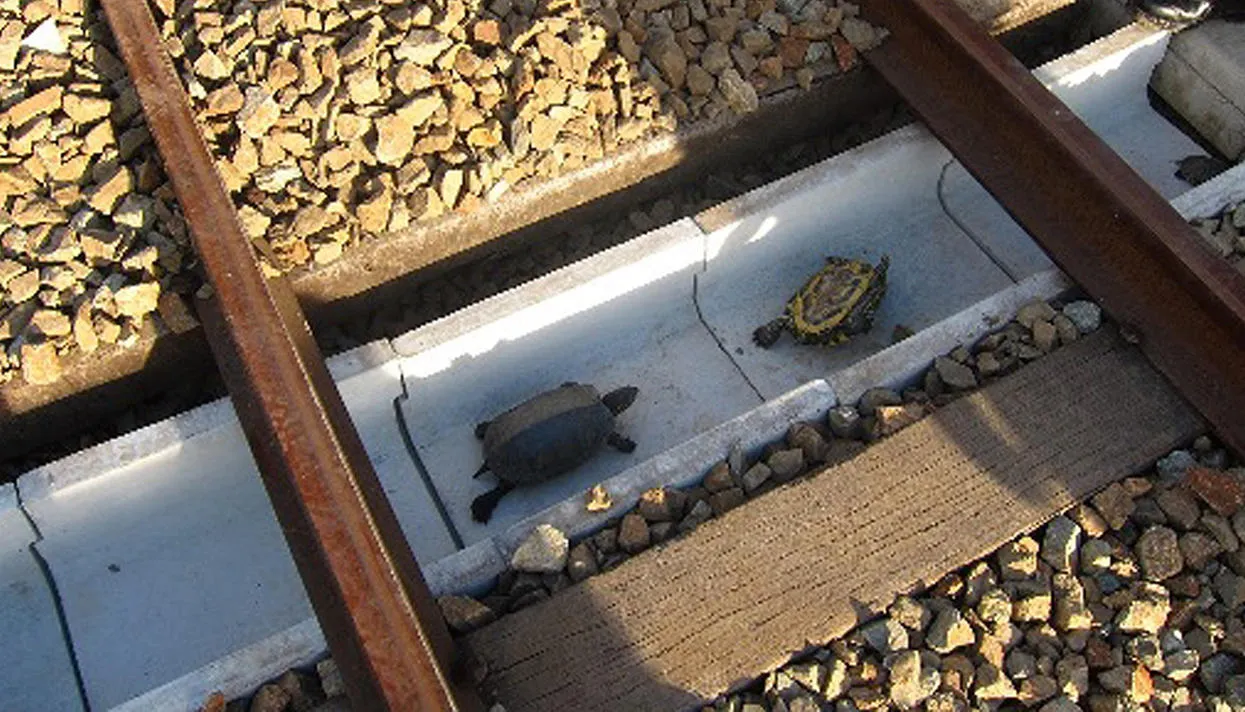 Фото: West Japan Railway / AFP / Scanpix