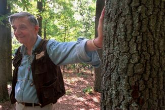 Профессор Гарвардского университета и лауреат Пулитцеровской премии Эдвард Осборн Уилсон отдыхает от поисков насекомых в государственном заповеднике «Уолден-Понд» в Конкорде, штат Массачусетс. 4 июля 1998 года