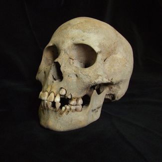 Russia is the birthplace of the plague. Scientists have found that the first known outbreak of the disease occurred in the Baikal region 5,500 years ago. How was it possible to make such an archaic “diagnosis”?