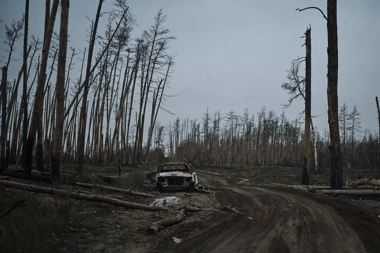 Kostiantyn Liberov / Libkos / Getty Images