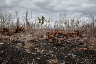 Сожженная российская техника в сгоревшей лесополосе в Харьковской области после успешного наступления ВСУ осенью 2022 года. Власти региона пытаются очистить леса от искореженного металла и платят местным жителям за собранный металлолом