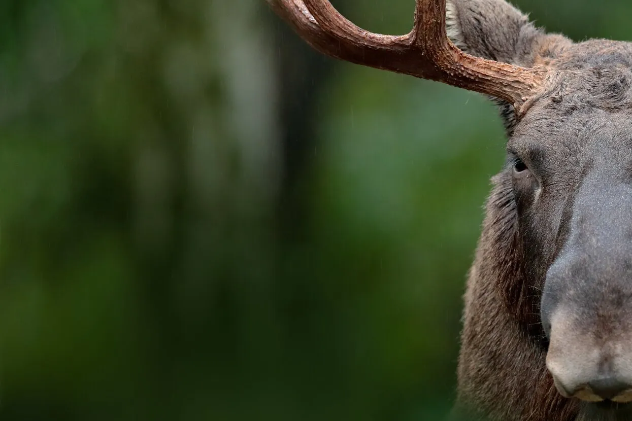 Ondrej Prosicky / Shutterstock.com