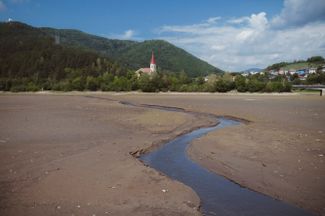 Высохшее водохранилище Ружин у деревни Якловце. 3 августа 2022 года