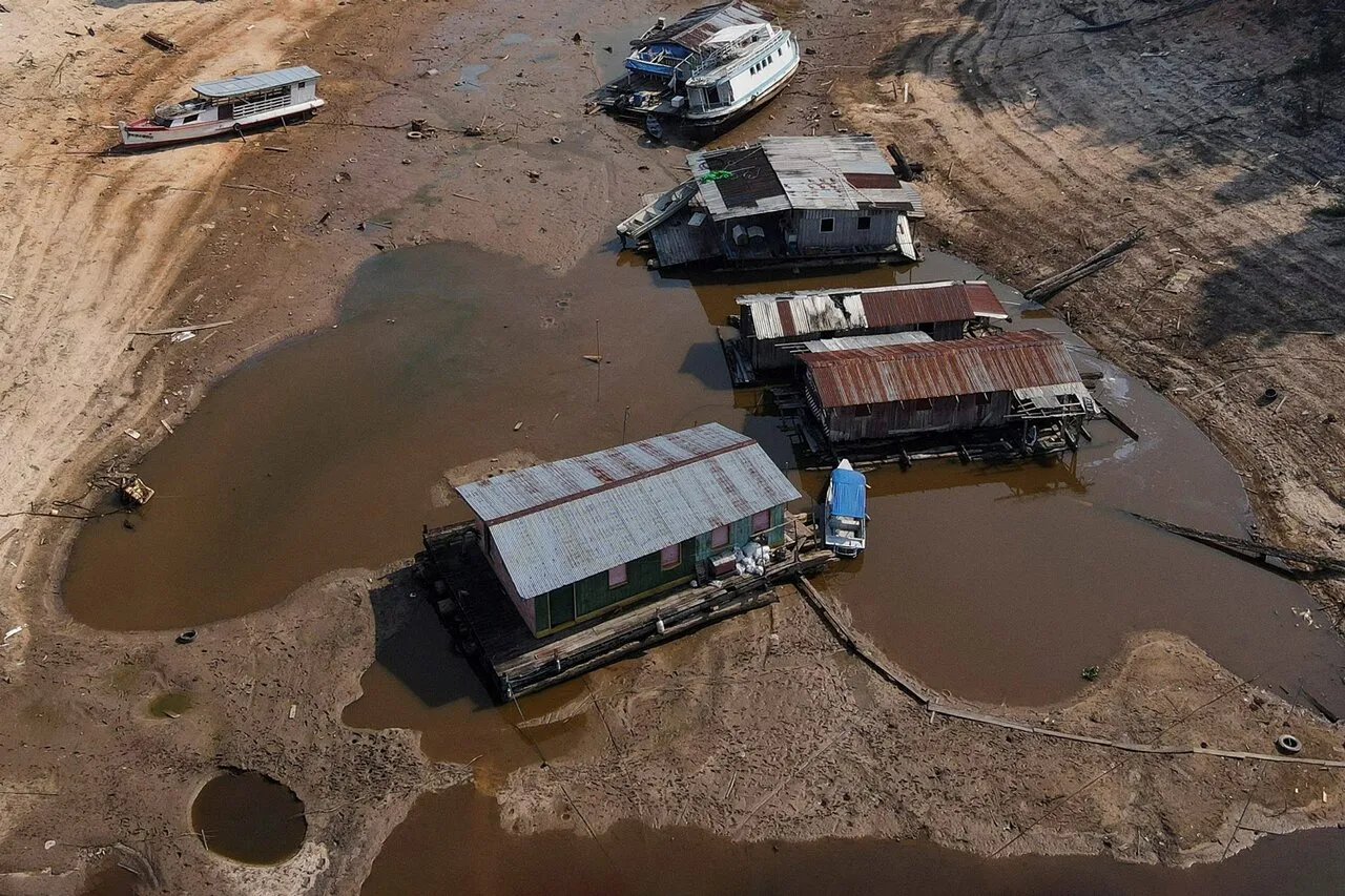 Из-за рекордной жары и засухи в Амазонке гибнет рыба и дельфины. Люди,  живущие на берегах реки, вынуждены покидать свои дома — Meduza