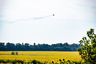 Украинский истребитель пролетает над полями подсолнухов рядом с военными позициями. Место съемки не указано